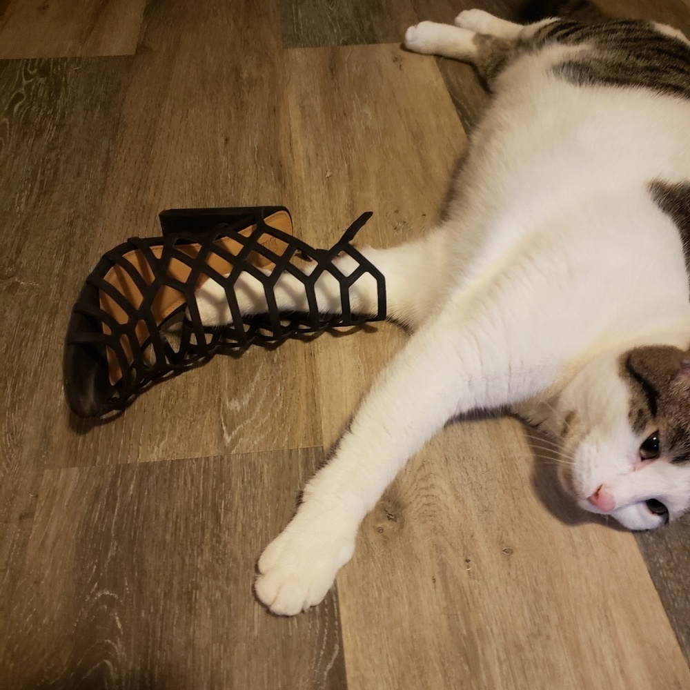 Meet your Posher, Katie